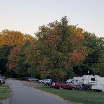 Beginning of fall colors.