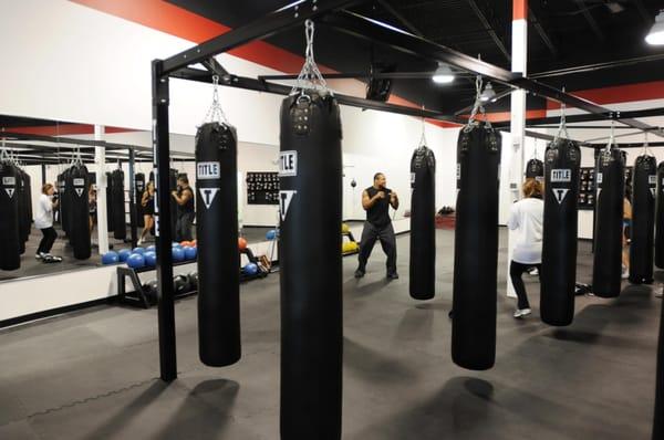 TITLE Boxing Club North Columbus