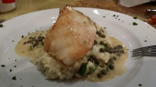 Seabass with mushroom risotto special