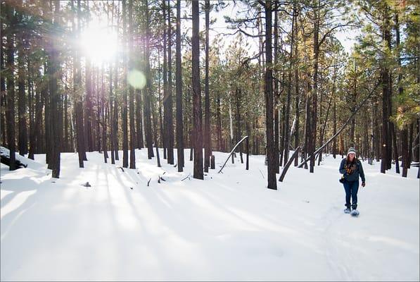 Gotta love snowshoeing around the trails. This particular trail is the 2.4 mile "Coyote" trail.... I think.