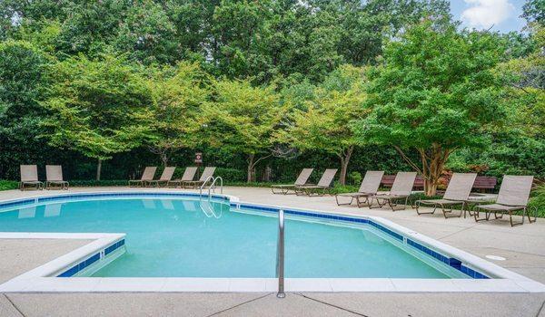 Our pool is surrounded by gorgeous landscaping