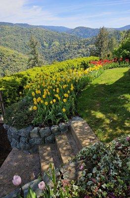 View out to the countryside