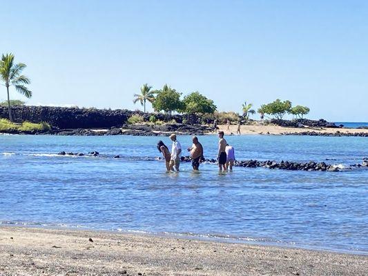 Beach area