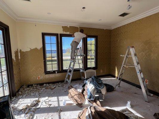 Wall paper removal process and preparation. After this sand, primer and paint!