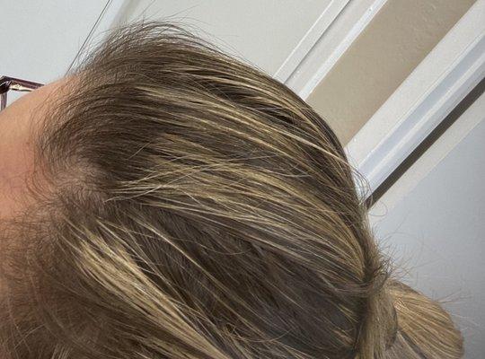 Hair pulled back; you can see how bad the highlights look. They didn't even take the time to do it right.