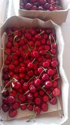 Cherries