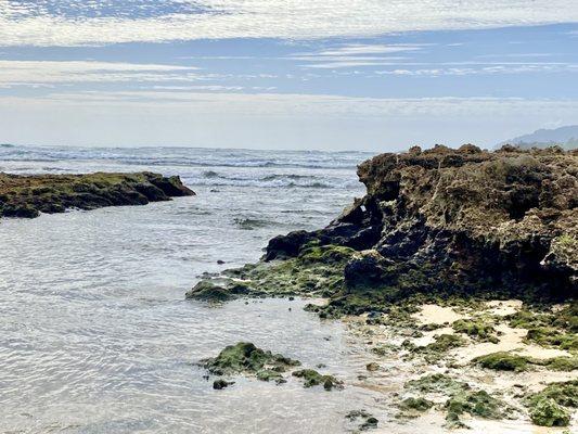 Where Malaekahana stream meets the ocean