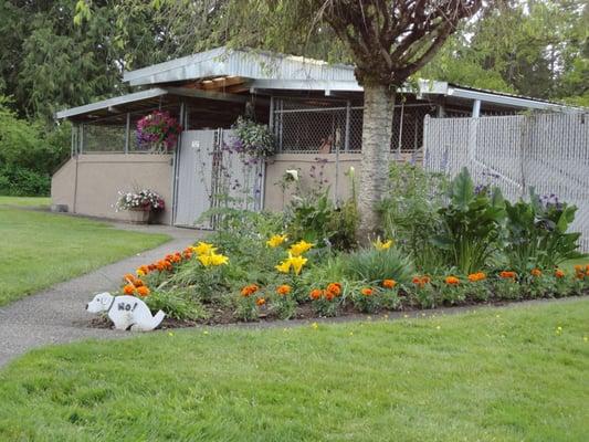 Our 'outdoor' kennels