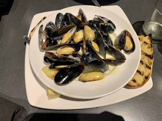 Mussels in white wine and Gorgonzola broth