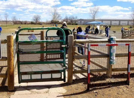 Longmont Dog Park 2