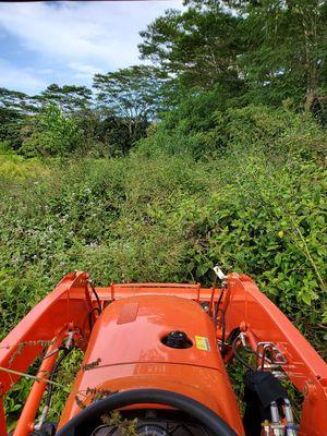 Brush mowing on a beautiful day!