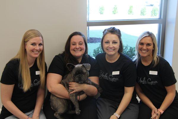 Some of the team at Amelia Grace Animal Hospital