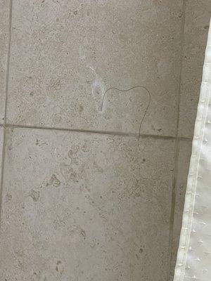 The shower was not even cleaned before we came in! Old soap and hair on the walls! So nasty!