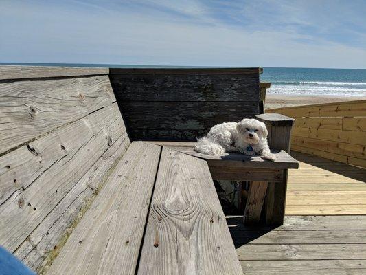 The smaller of two nice boardwalks to the beach.