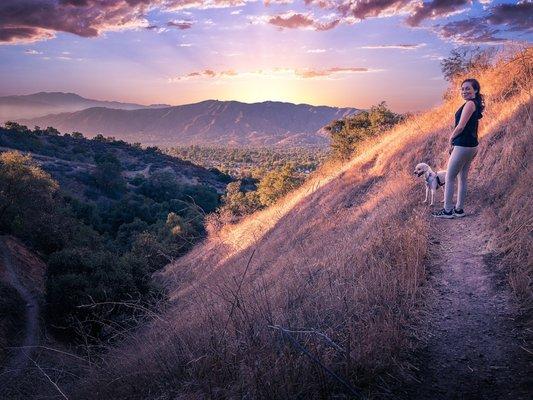 South Hills Dog Park