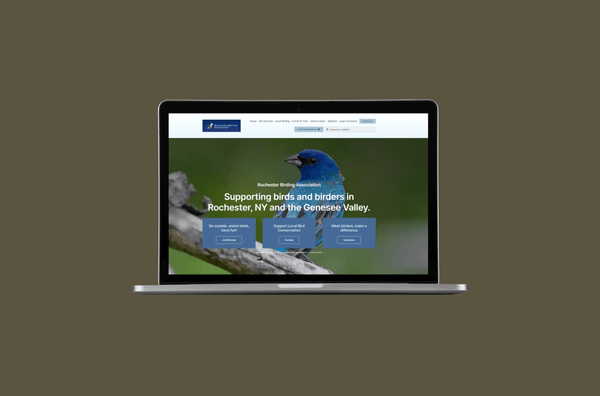 Rochester Birding Association Website