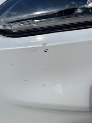 Scratch from service happened in mid-August