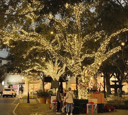 Holiday decorations in Hyde Park Village