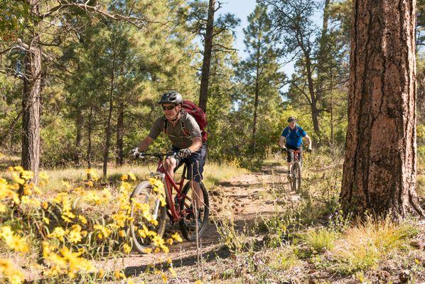 Riding out of the Pines