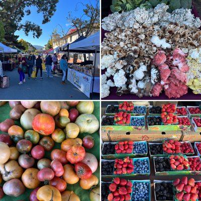 Picked Up Freshly Picked Mushrooms, Tomatoes, and, Strawberries This Morning! (11/03/22)