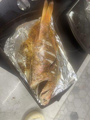 Fresh whole red snapper