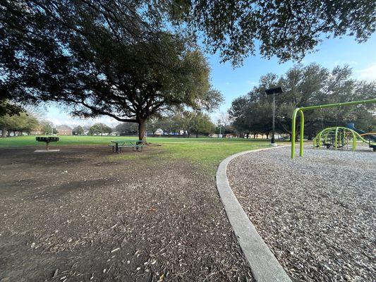 Picnic tables, grills, a huge field to play in, beautiful live oaks to climb. The city pool and bathrooms are in the far background.