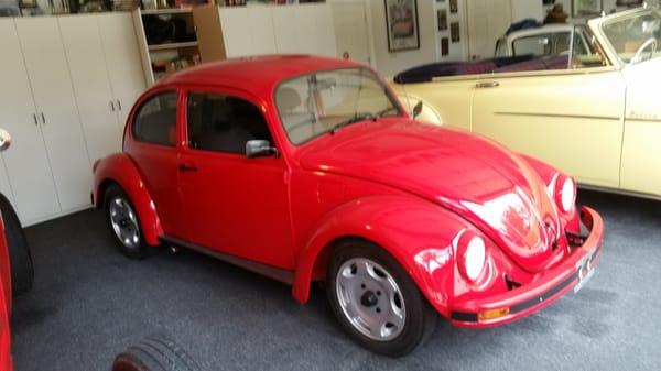 2004 vw mexico beetle