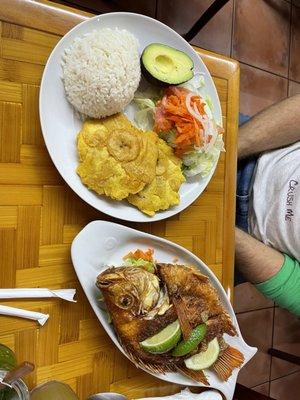 Mojarra Frita Arroz Tostones y Ensalada