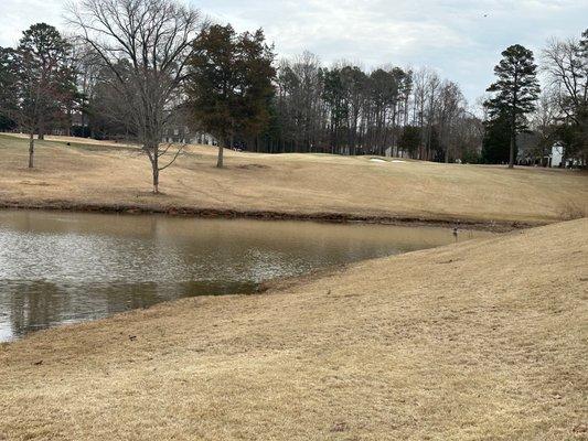 One of the par 3s