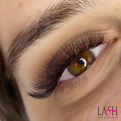 Volume Lashes