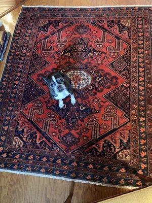 This is my antique Persian rug that Behnam Rugs cleaned and repaired for me. They did a REMARKABLE job!