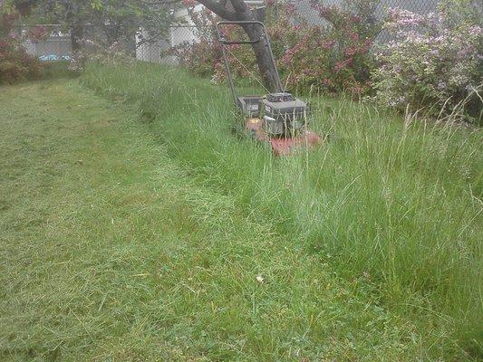 Cutting long grass