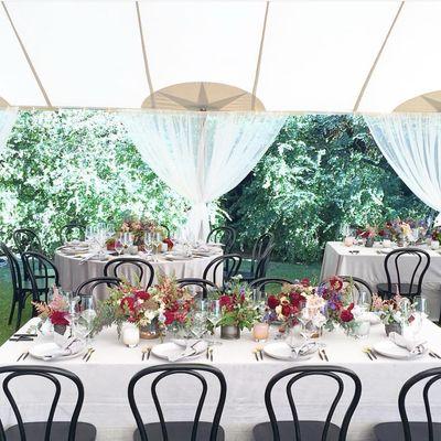 Dining under a canopy