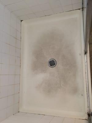 shower floor  before