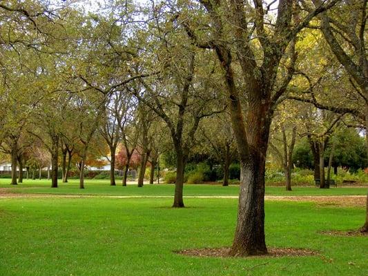 Alamo Creek Park