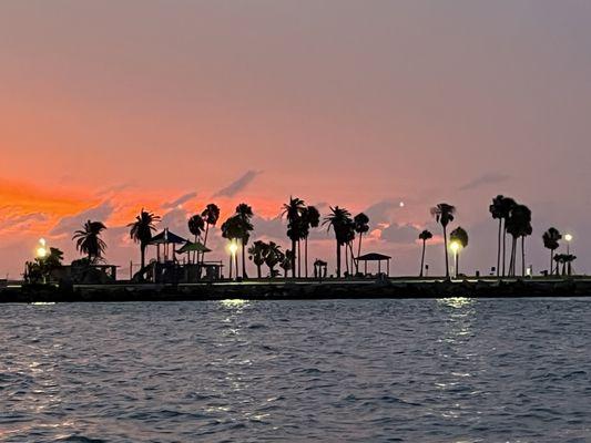 Shoreline on DolphinBay excursion on their sunset tour in Galveston.