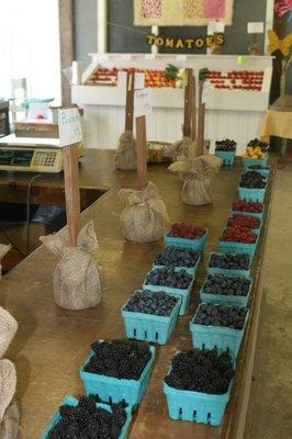 Marion berries, Raspberies, Blueberries, BERRIES GALORE!