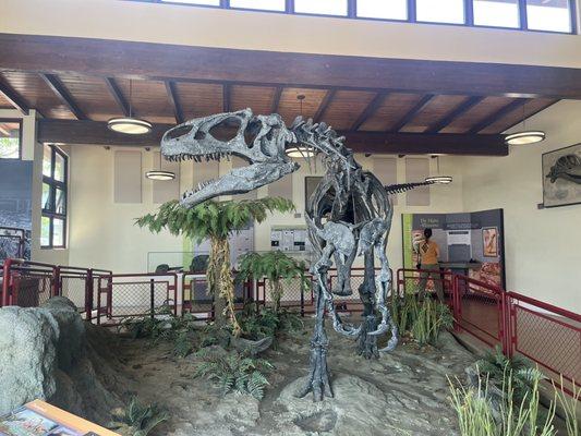 Allosaurus skeleton in the visitor center.