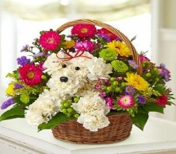 Petal Puppy Bouquet
 www.muffysflowers.com