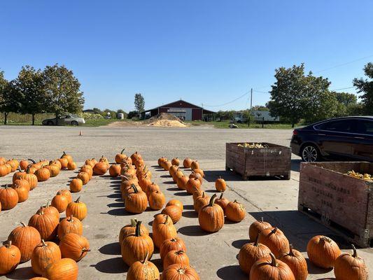 Overlooking Almar property from the store.