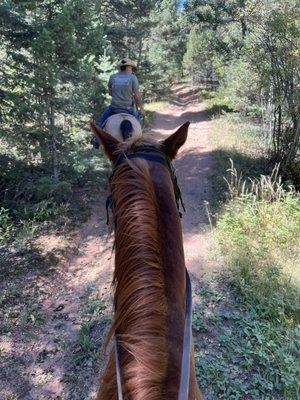 Brandon riding JJ on a trial.