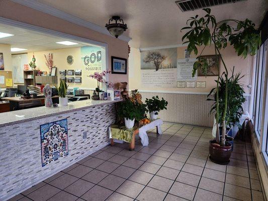 Clean, tasteful front counter area with pleasant laughing buddha shrine and healthy house plants