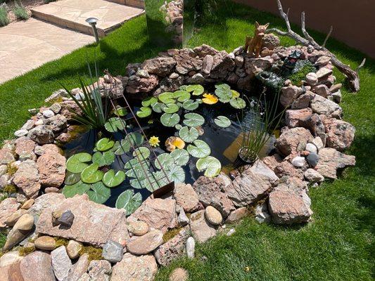 Oasis Aquatics