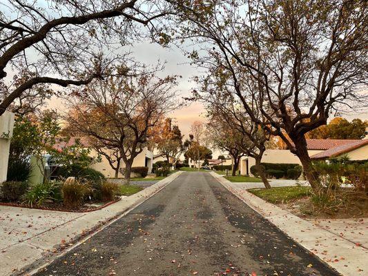 SUNSET TIME in our little street !