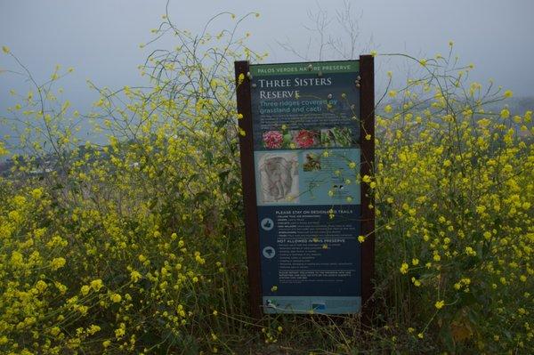 Three Sisters Reserve