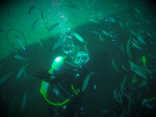 Wreck Diving out of Morehead City, NC