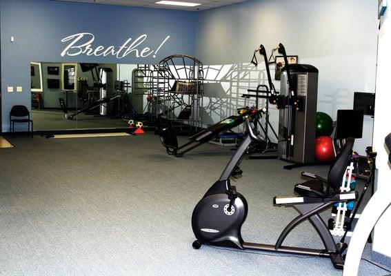 This is the gym area in our  Fort Gratiot clinic.