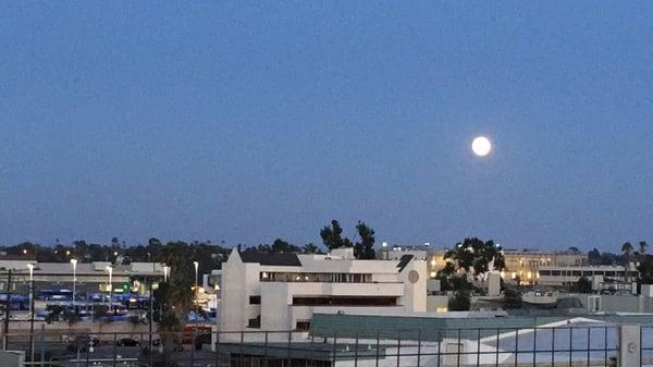 10.26.15 view from the top floor - almost a full moon