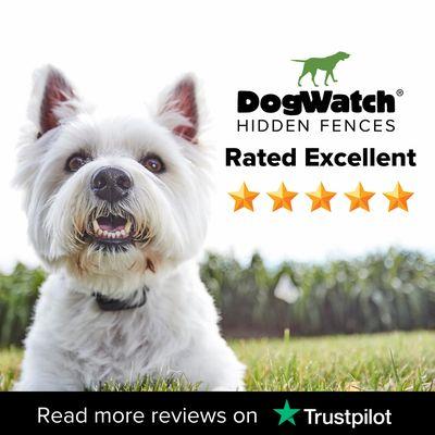 Read more 5 Star reviews of DogWatch of Puget Sound on Trustpilot! https://www.trustpilot.com/review/www.dogwatchofpugetsound.com