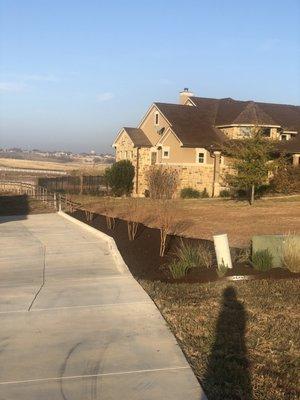 New crepe myrtle trees and erosion control.